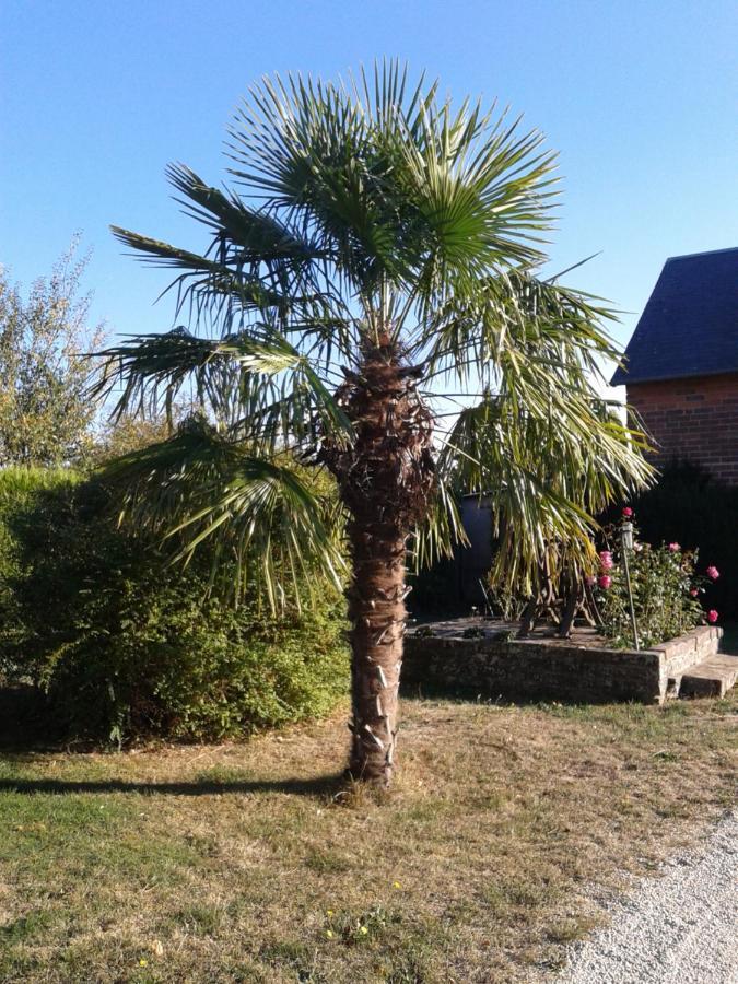 B&B Ferme De La Rouzannerie Pour 2 Ou Famille Lanneray Esterno foto