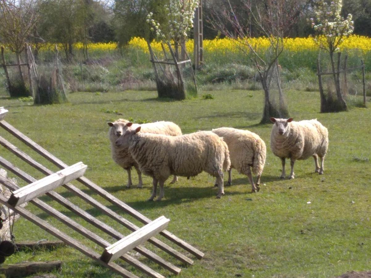 B&B Ferme De La Rouzannerie Pour 2 Ou Famille Lanneray Esterno foto